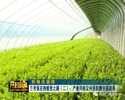 【新春走基层】兰考张庄的嬗变之路(二):产业兴旺让村民们腰包鼓起来